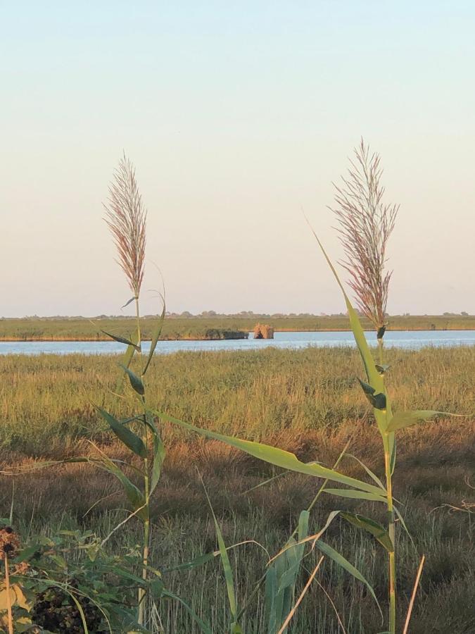 Mare&Terra... Alloggi Nel Delta Polesine Camerini 外观 照片