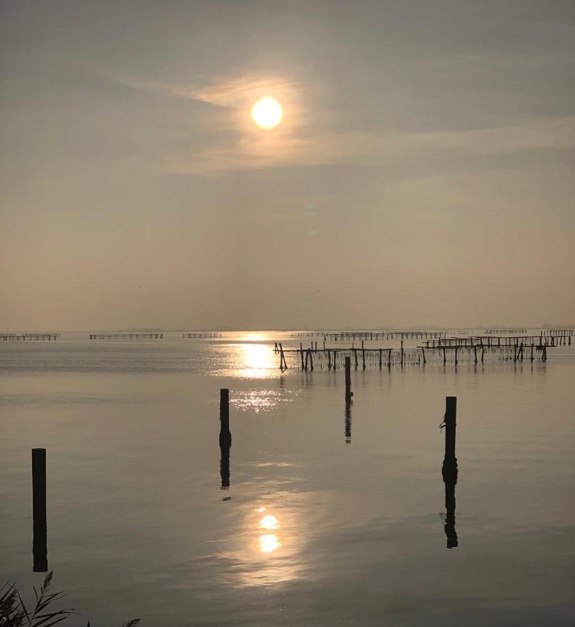 Mare&Terra... Alloggi Nel Delta Polesine Camerini 外观 照片