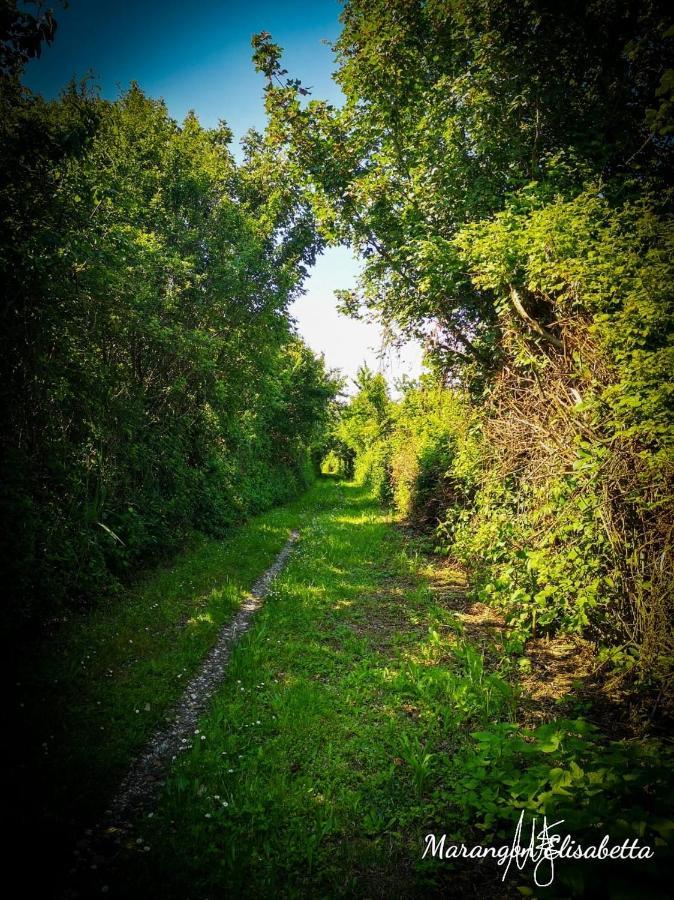 Mare&Terra... Alloggi Nel Delta Polesine Camerini 外观 照片