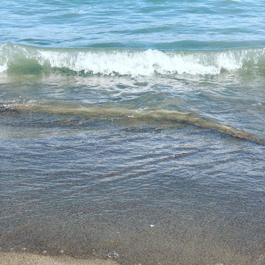 Mare&Terra... Alloggi Nel Delta Polesine Camerini 外观 照片